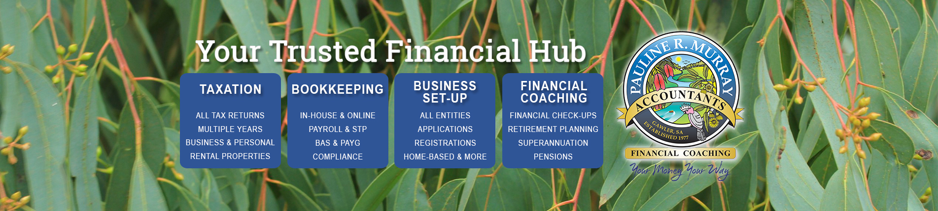 pauline-r-murray-accountants-your-trusted-financial-hub-financial-coaching1