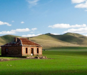 Burra Tax Accountant