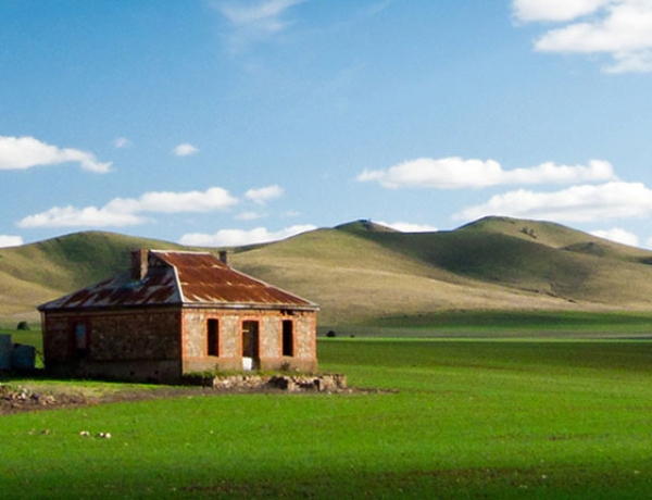 Burra Tax Accountant