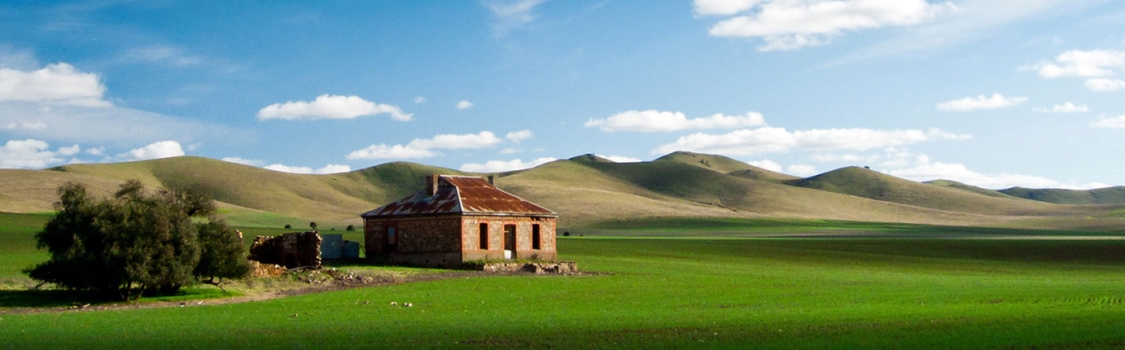 Burra Tax Accountant