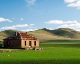 Burra Tax Accountant