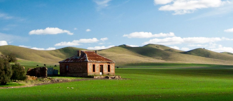 Burra Tax Accountant